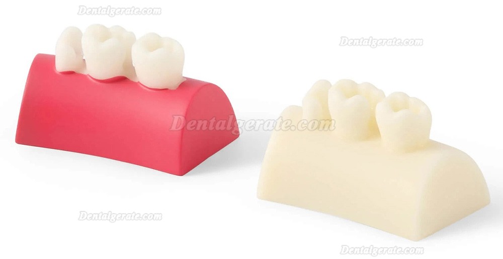 Dental Inlay &Uuml;bungsblock Komposit-Harz F&uuml;llung Z&auml;hne